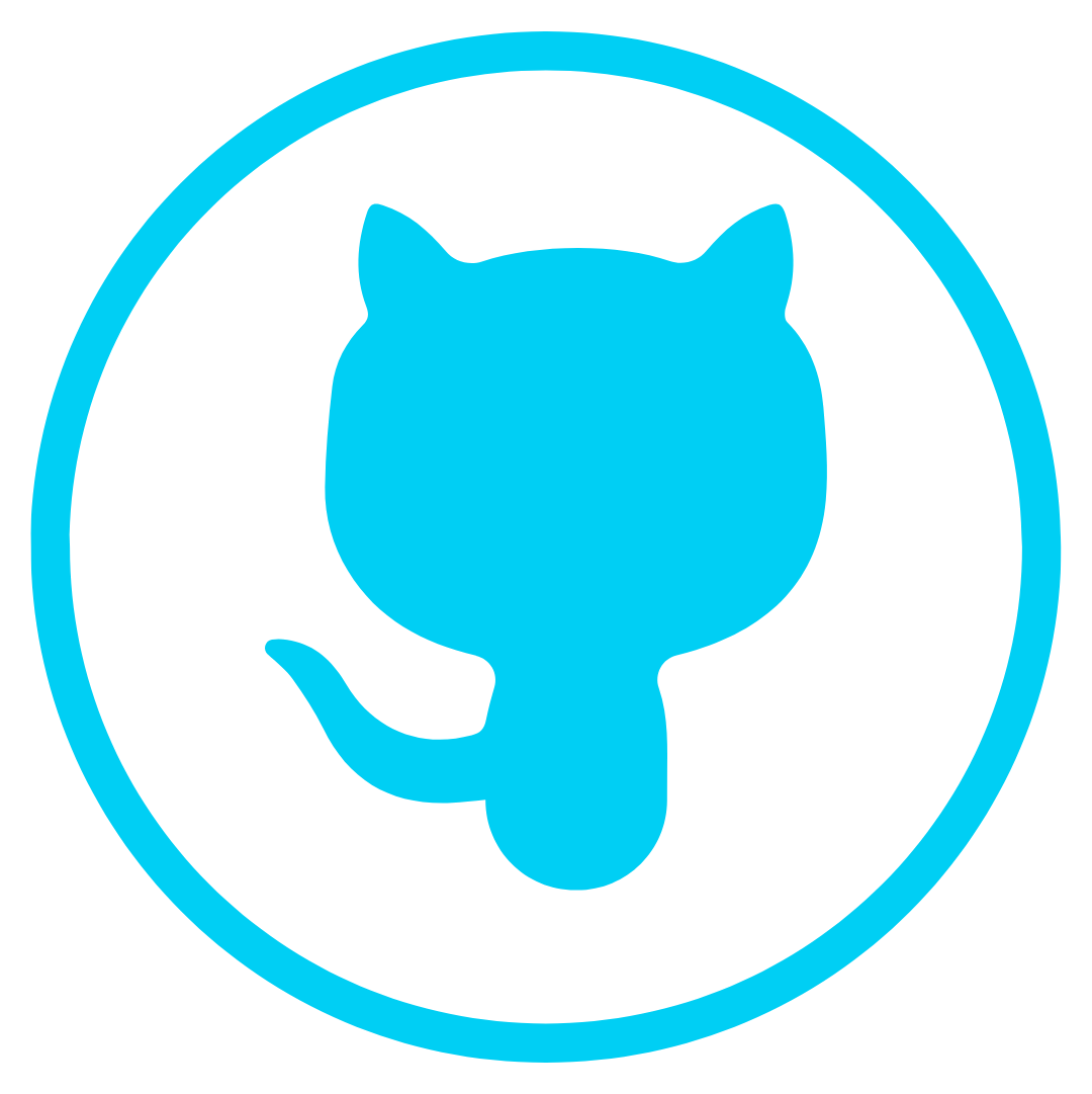 Github